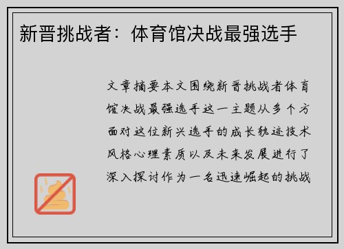 新晋挑战者：体育馆决战最强选手