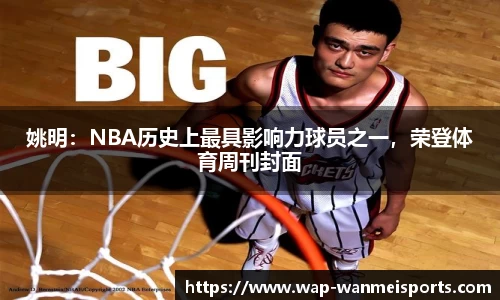 完美体育公司